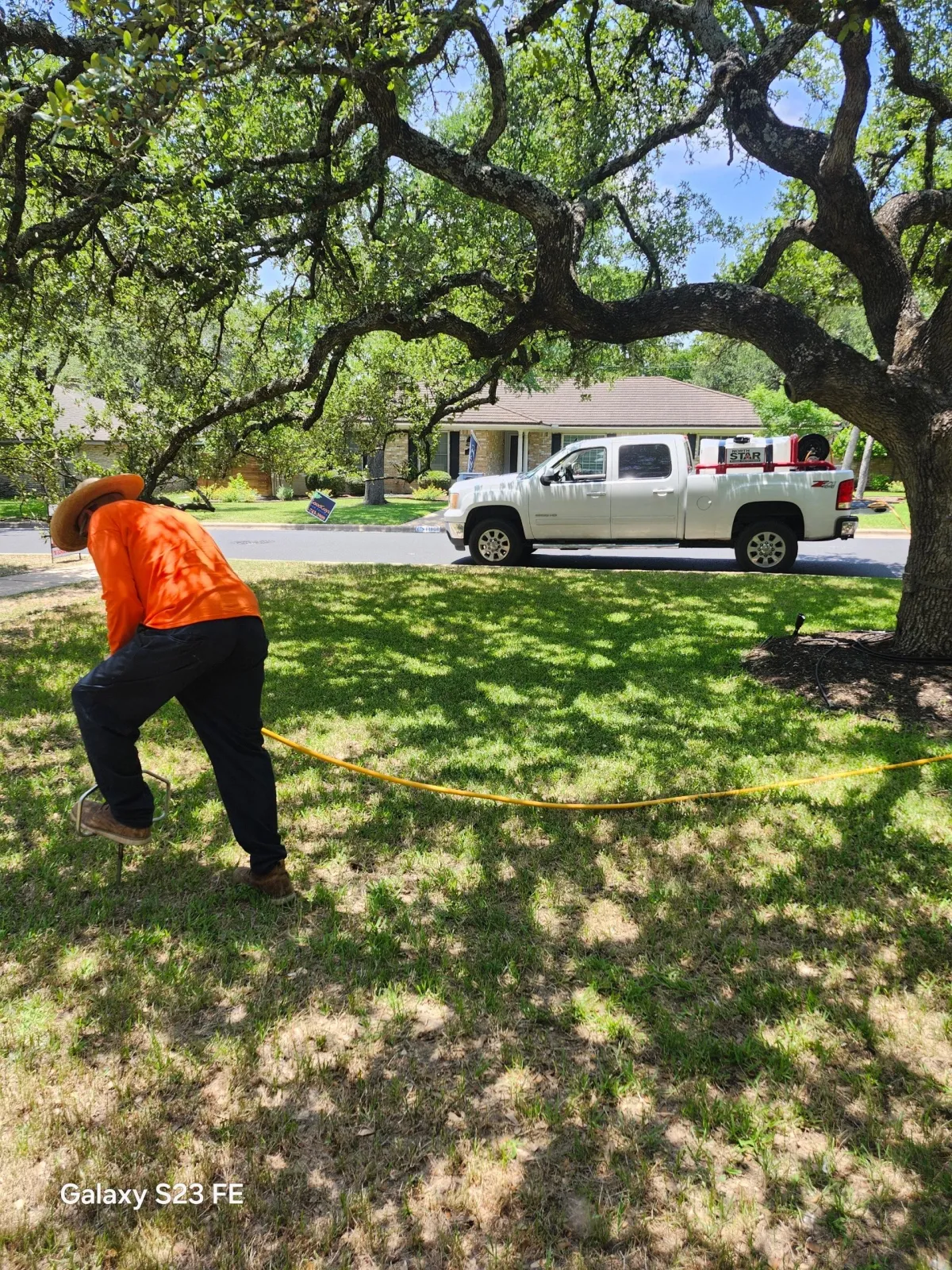 Williamson County, Texas Deep Root Fertilization by Box Tree Care