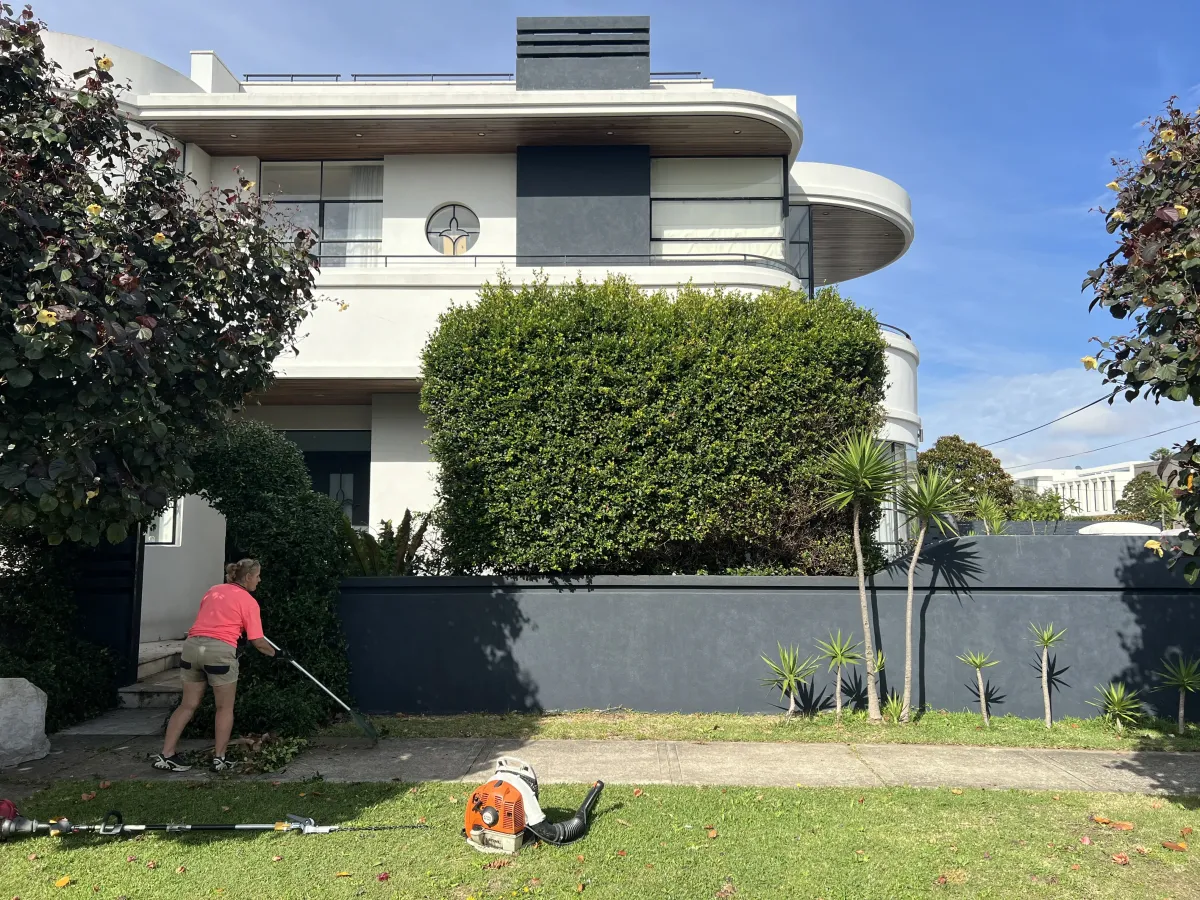 commercial lawn mowing eastern suburb sydney