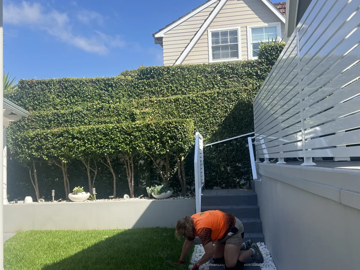 Hedging and garden tidy-up service in Sydney NSW backyard.