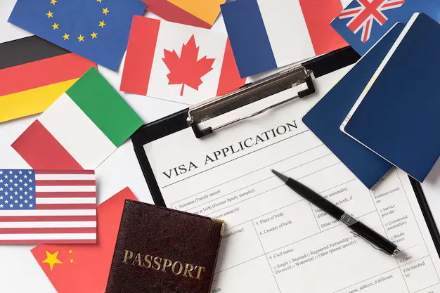 Travel and visa consultation