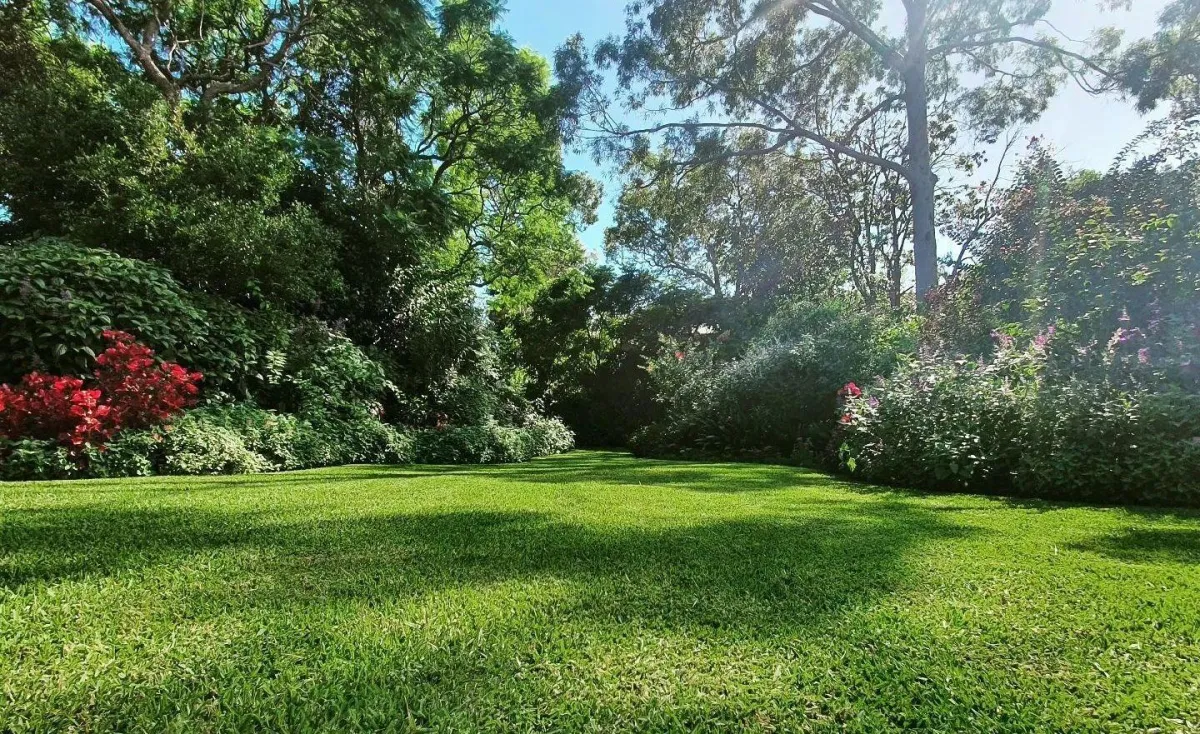 Blog best lawn provider