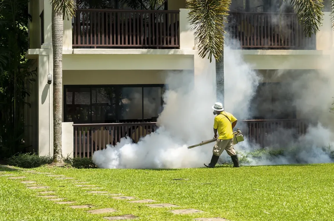 Spraying Grubs & Diseases