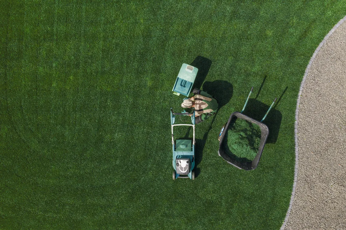 Revitalise your lawn