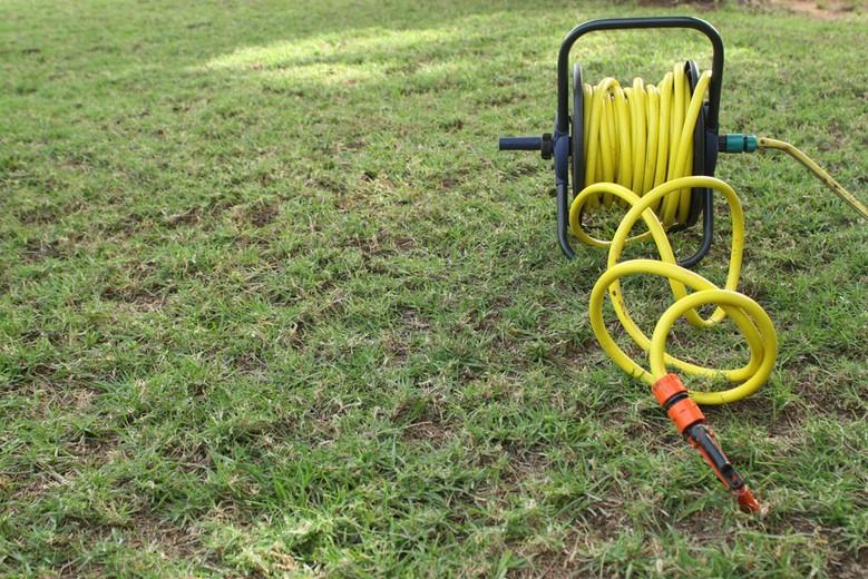 Yellow patchy lawn