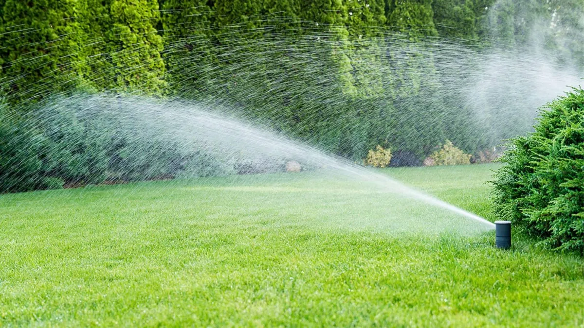 Blog winter watering