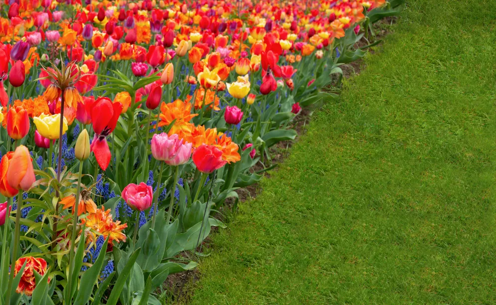 Blog spring season