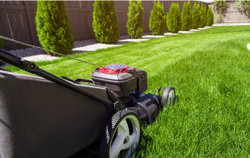 Blog lawn mowing heights
