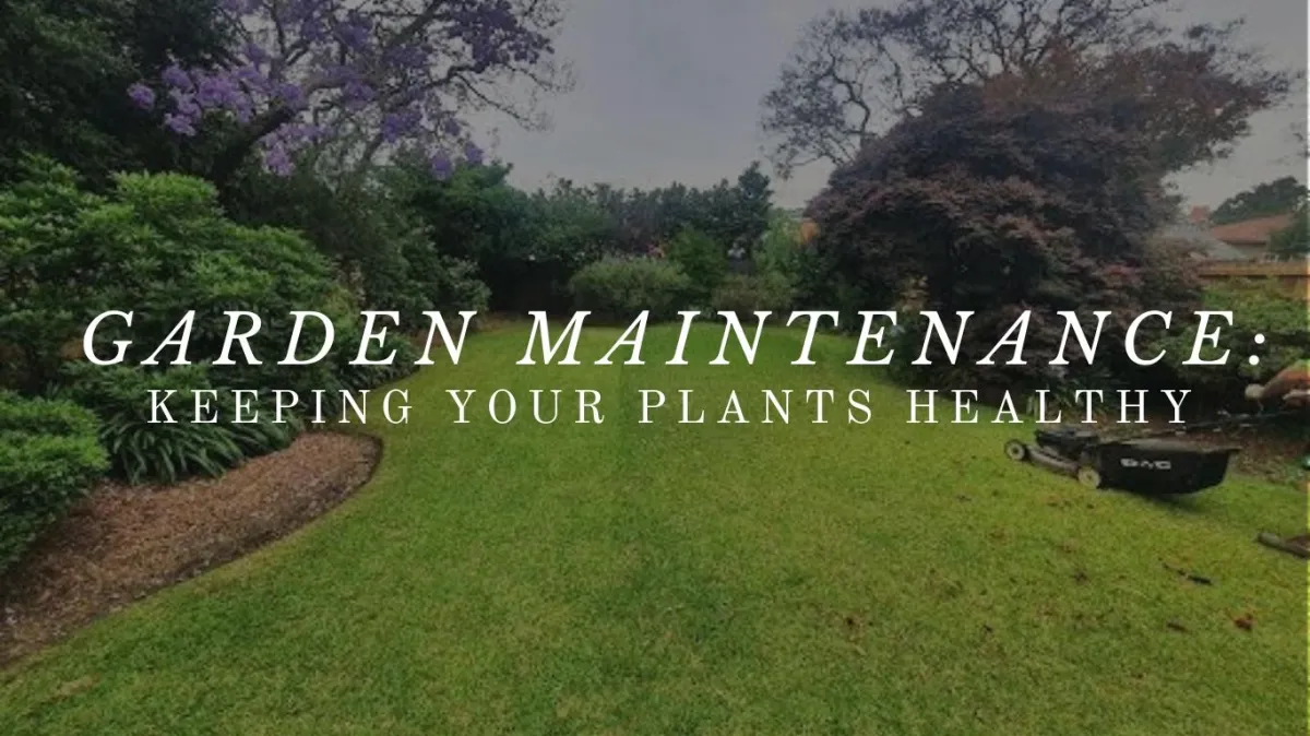 garden maintenance
