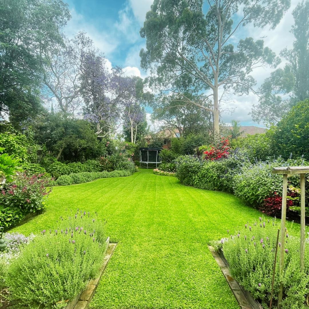 What Happens When You Skip These 3 Essential Lawn Care Steps