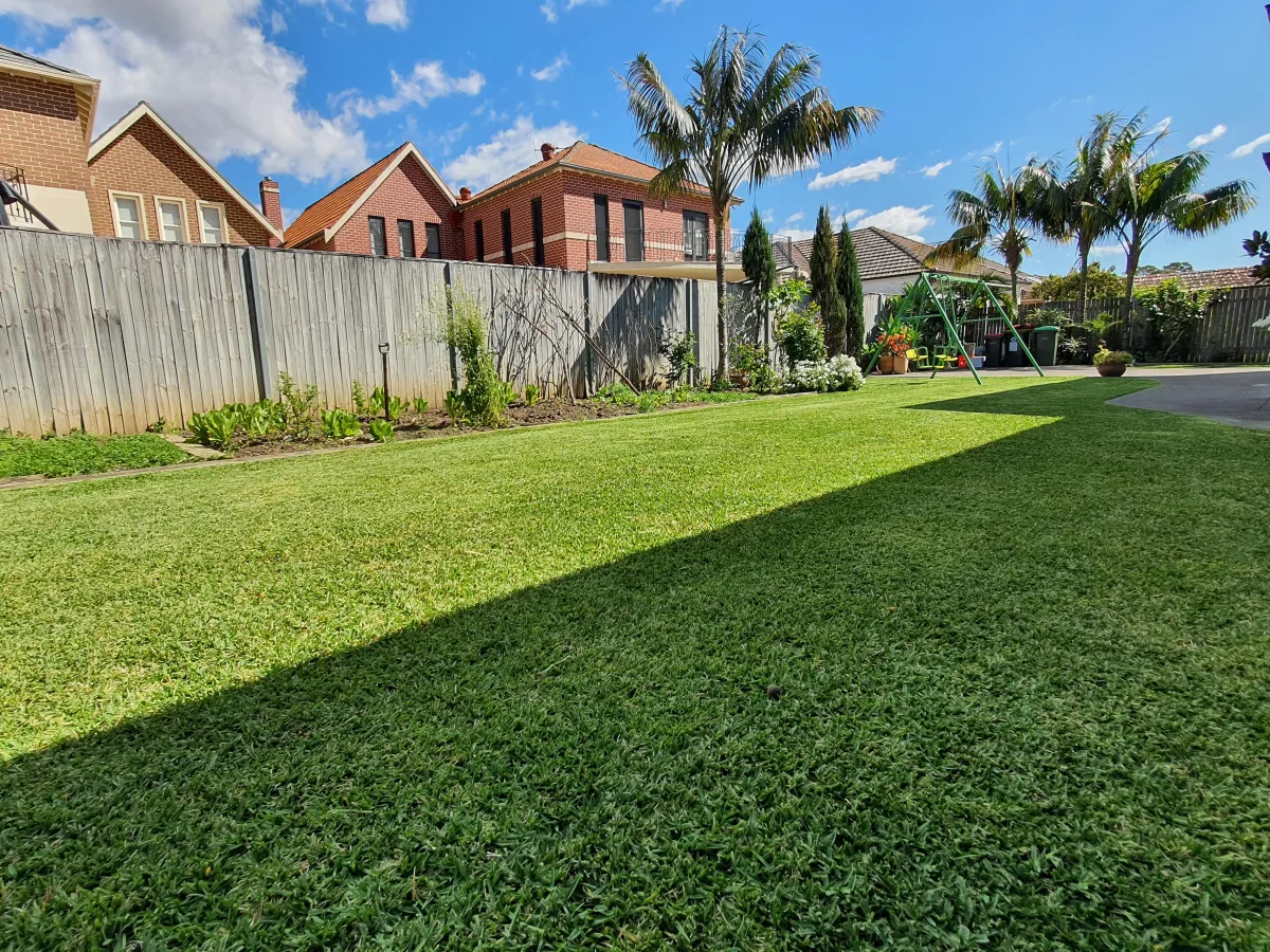 Want a Lawn Like This? It Only Took 2 Weeks! 😱 Let’s Show You How We Did It.
