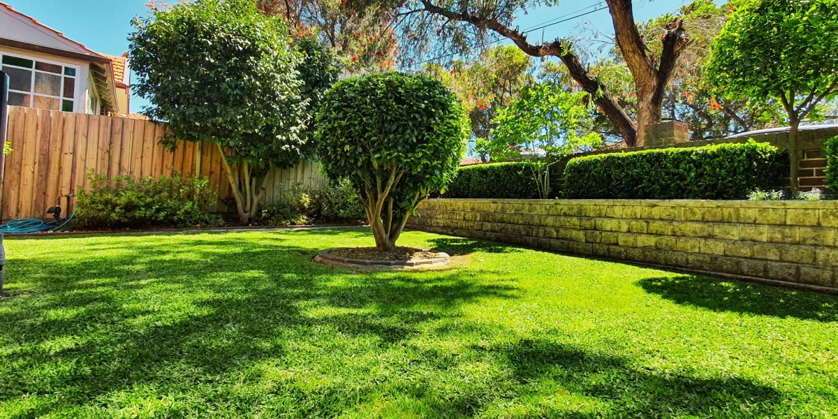 This Simple Trick Will Make Your Lawn the Envy of the Neighborhood