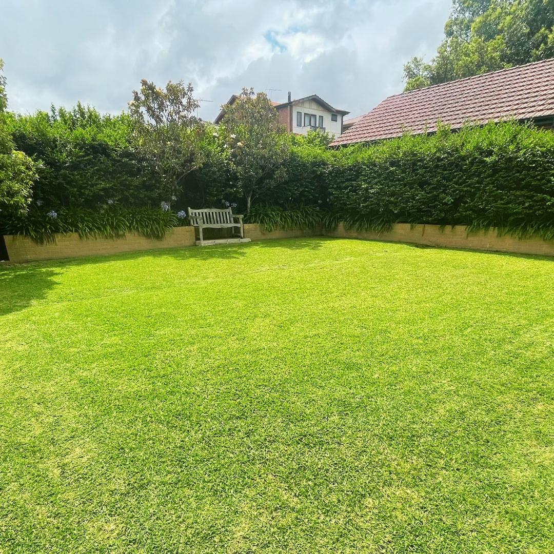 How Bizzy Mowing Can Transform Your Lawn and Garden in Sydney's Inner West