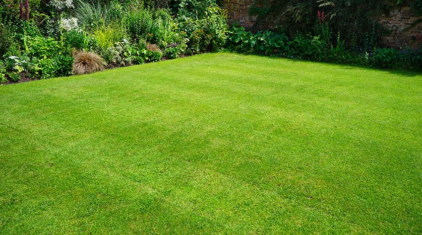 The Hidden Benefits of Regular Lawn Mowing