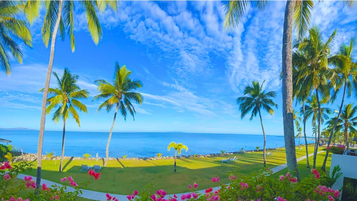 Preparing Your Lawn for Summer: Expert Tips from Lawn Mowing Services in Inner West Sydney