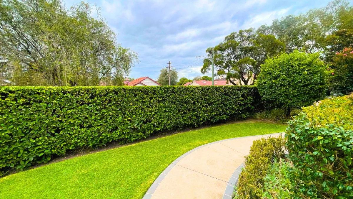 5 Lawn Mowing Myths Debunked: What Every Homeowner Should Know