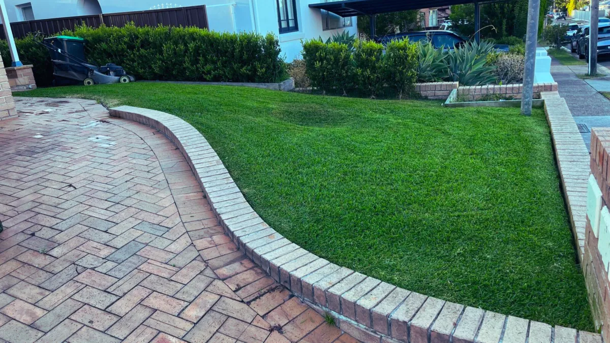 Maximising Lawn Health in Small Yards: Lawn Care Tips for Inner West Sydney Homes