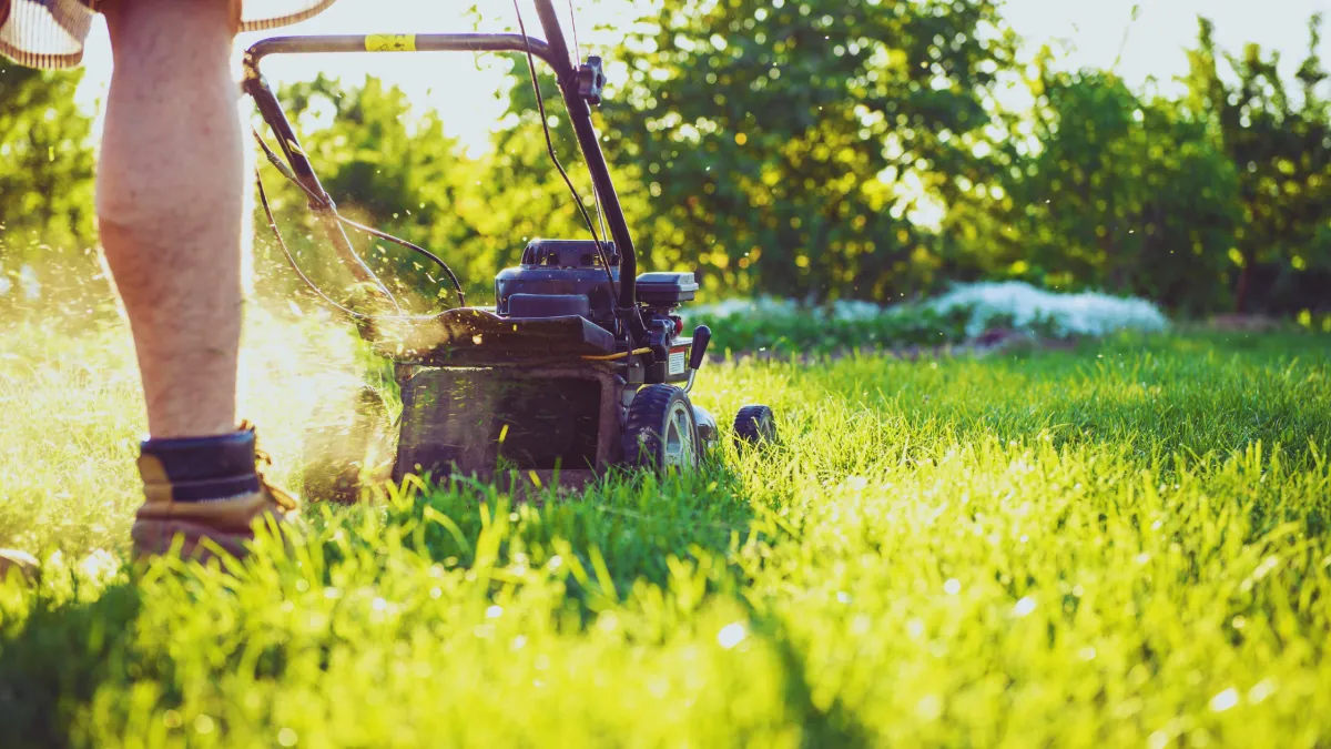 How to Protect Your Lawn from Winter Damage: A Guide for Inner West Sydney Residents