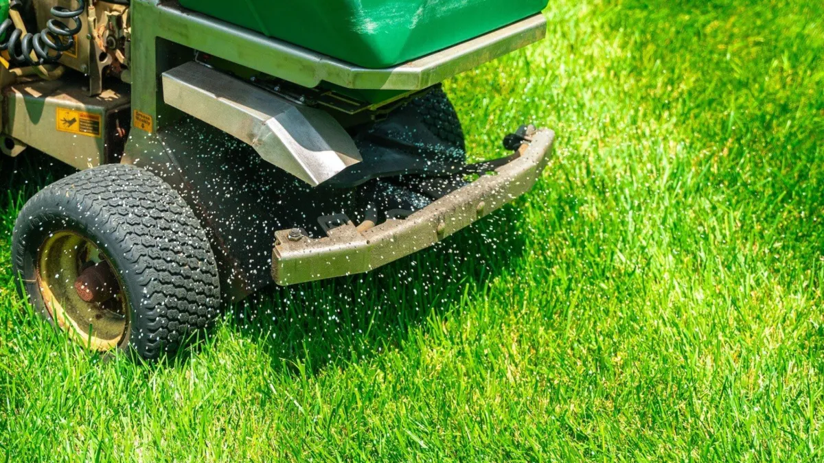 Winter Garden Maintenance Tips for Inner West Sydney Homes