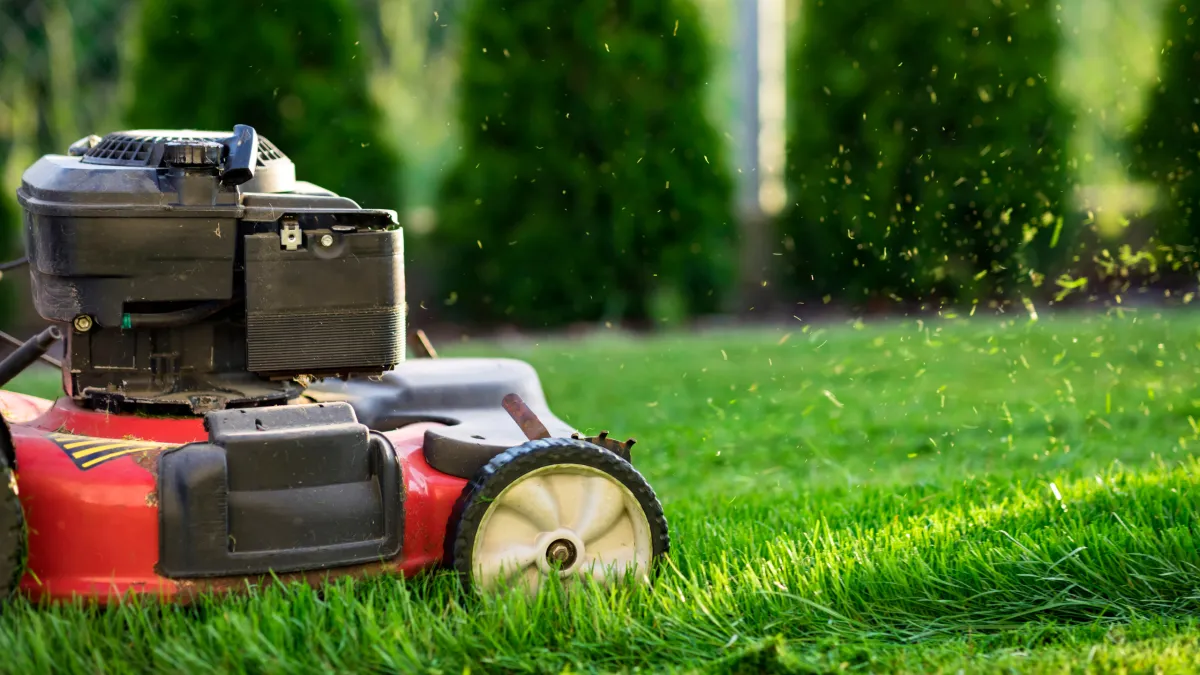 Protect Your Lawn This Winter: Essential Garden Care Tips for Inner West Sydney