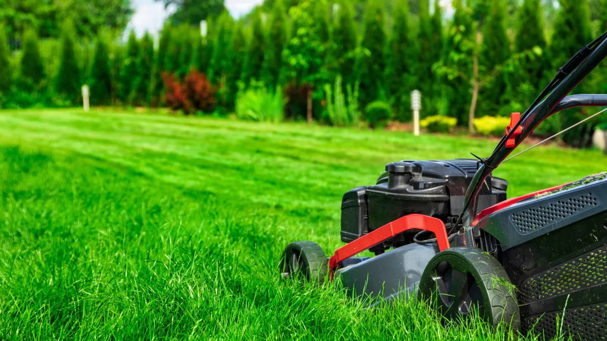 How to Keep Your Garden Looking Great All Year in Inner West Sydney