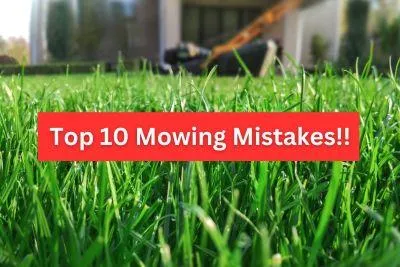 Garden maintenance Mistake 