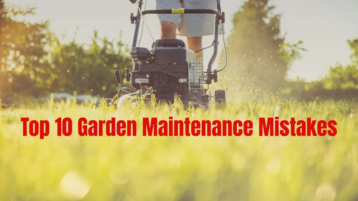 Top 10 Garden Maintenance Mistakes (And How Bizzy Mowing Can Help Fix Them)