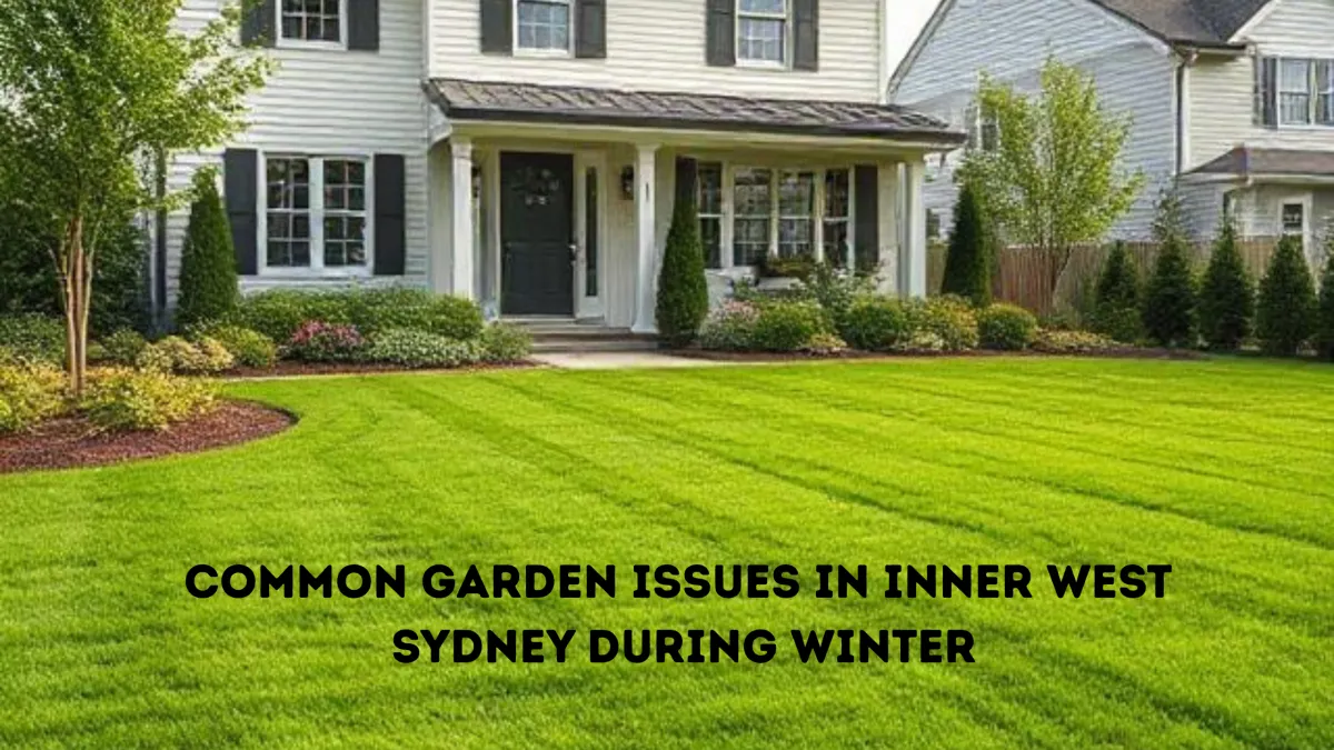 Common Garden Issues in Inner West Sydney During Winter (And How Bizzy Mowing Can Help You Beat Them)