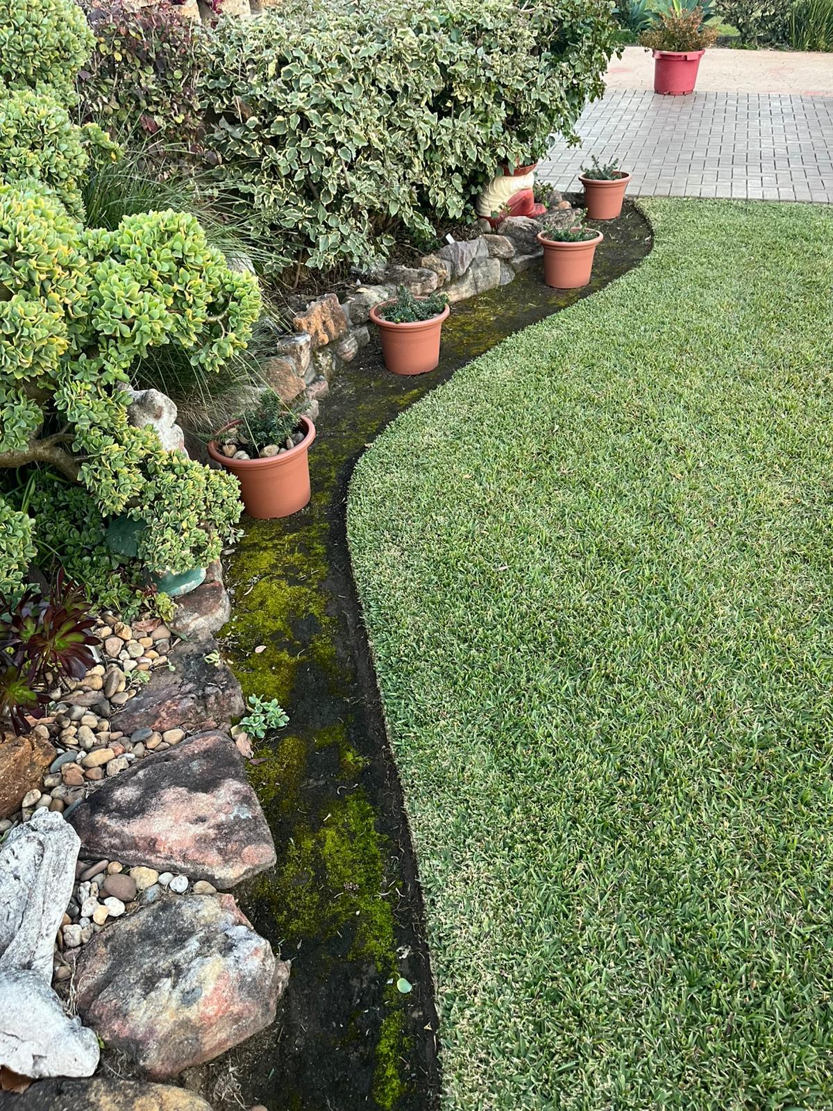 Why Winter is the Best Time to Revive Your Lawn in Inner West Sydney