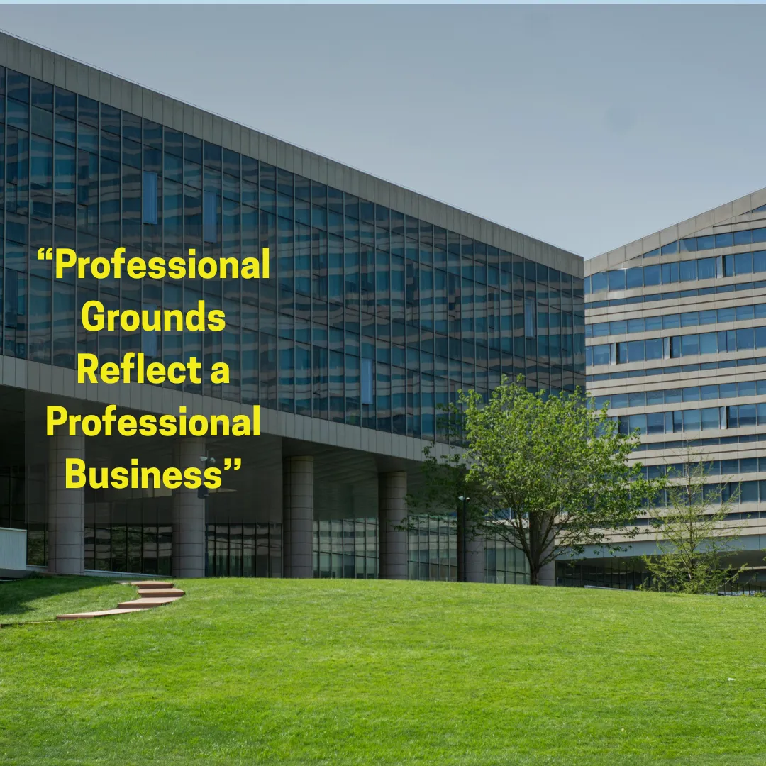 How Regular Lawn Care Enhances Professional Image: A Guide for Inner West Commercial Spaces