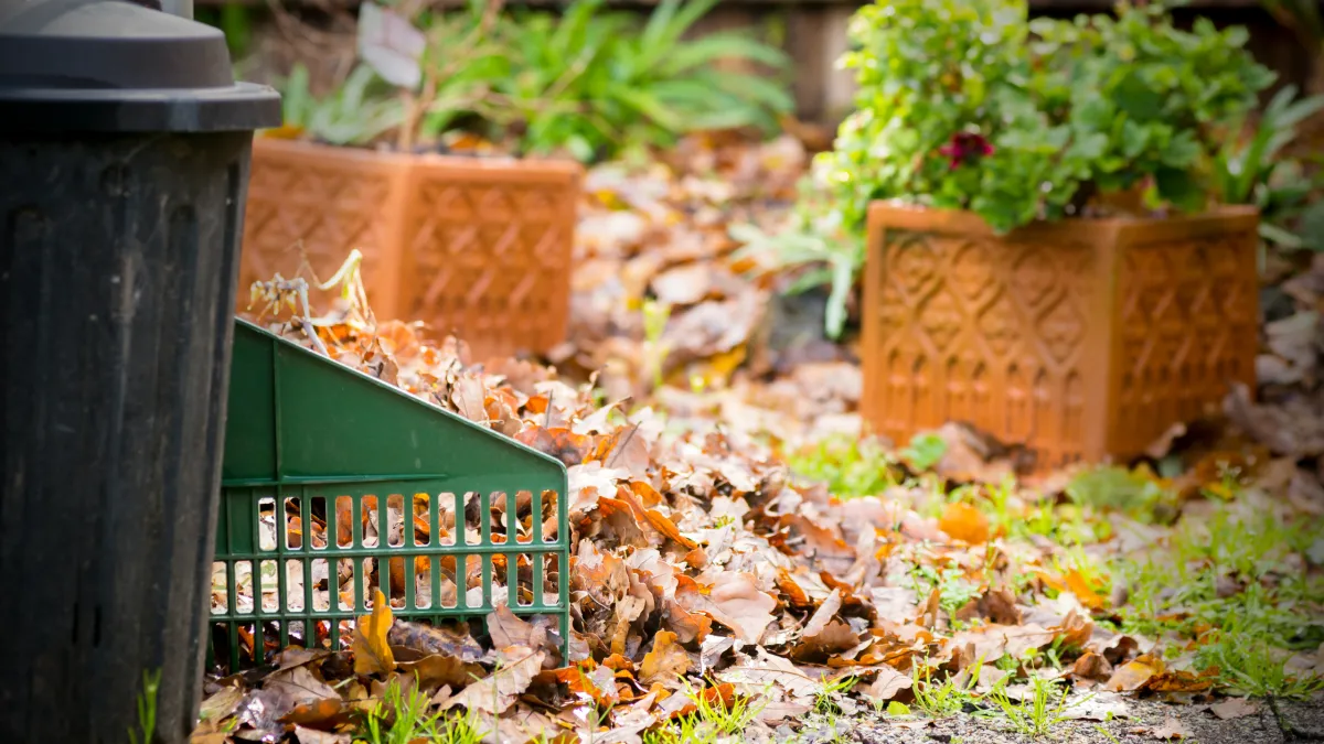 End-of-Winter Garden Clean-Up: What Inner West Homeowners Must Tackle Before Spring