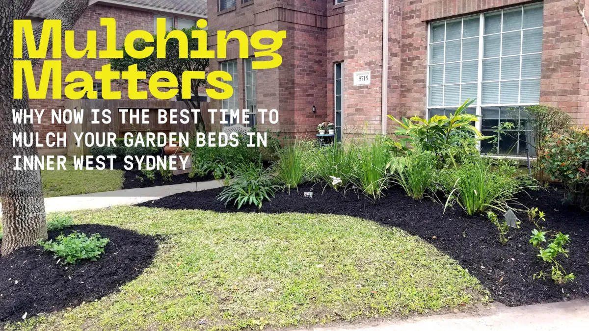 Mulching Matters: Why Now Is the Best Time to Mulch Your Garden Beds in Inner West Sydney