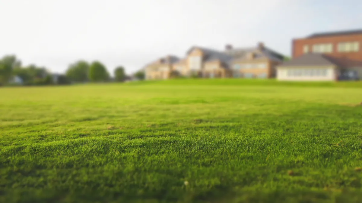 Why Now Is the Best Time to Overseed Your Lawn in Sydney