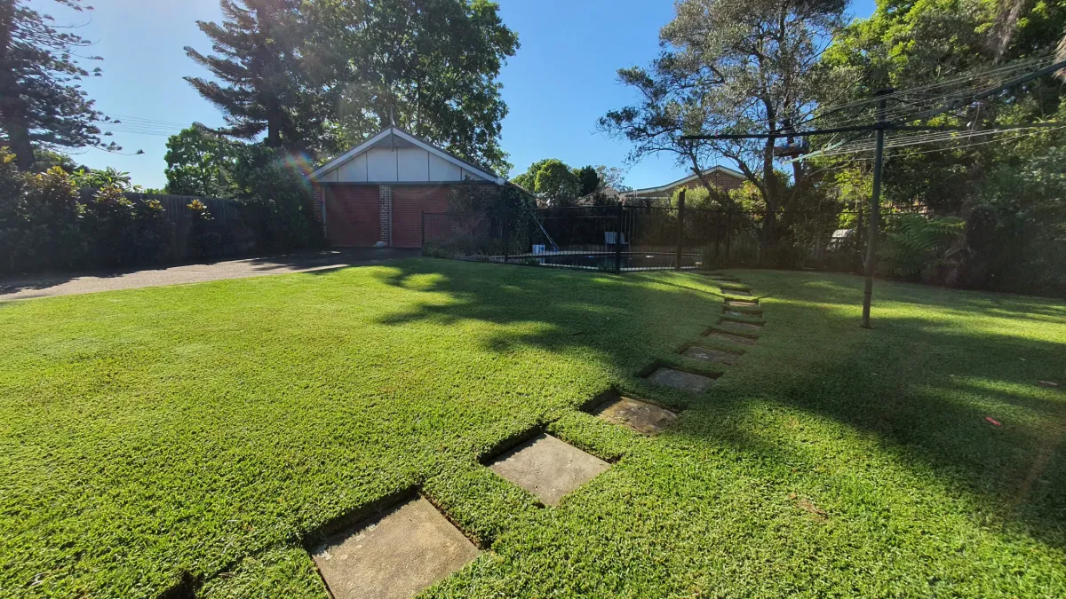 DIY vs Professional Lawn Care: What Works Best for Inner West Sydney Homes?