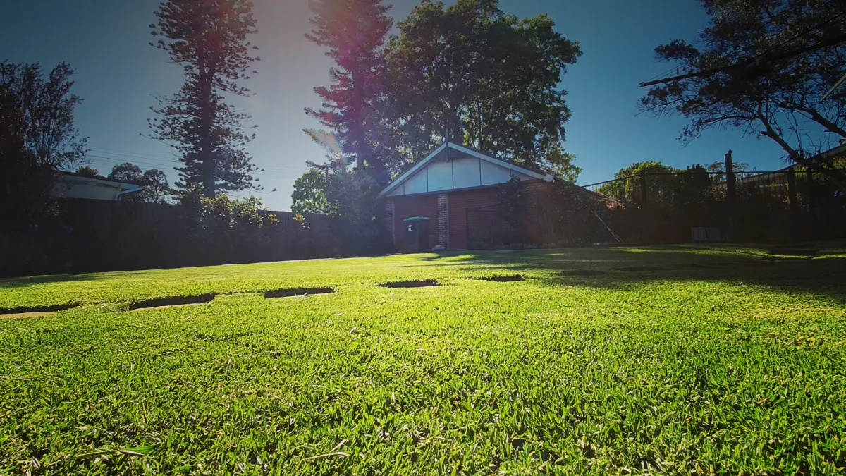 Why a Healthy Lawn Improves Your Home’s Value This Spring