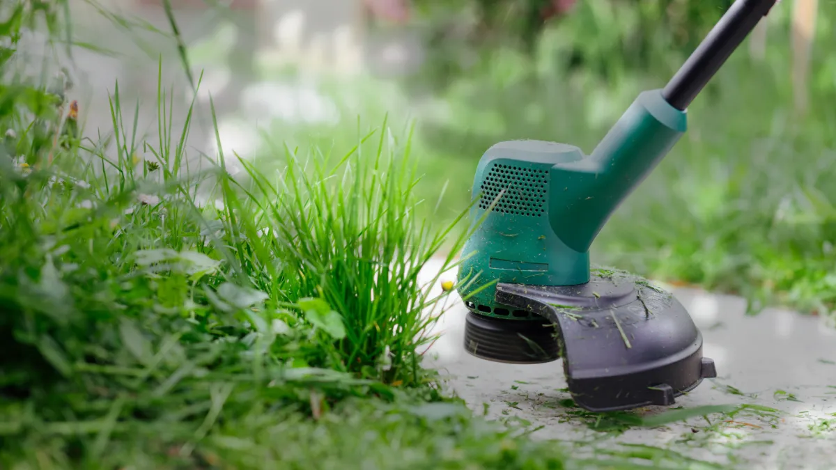 Spring Lawn Mowing Myths Debunked: What Inner West Sydney Homeowners Need to Know