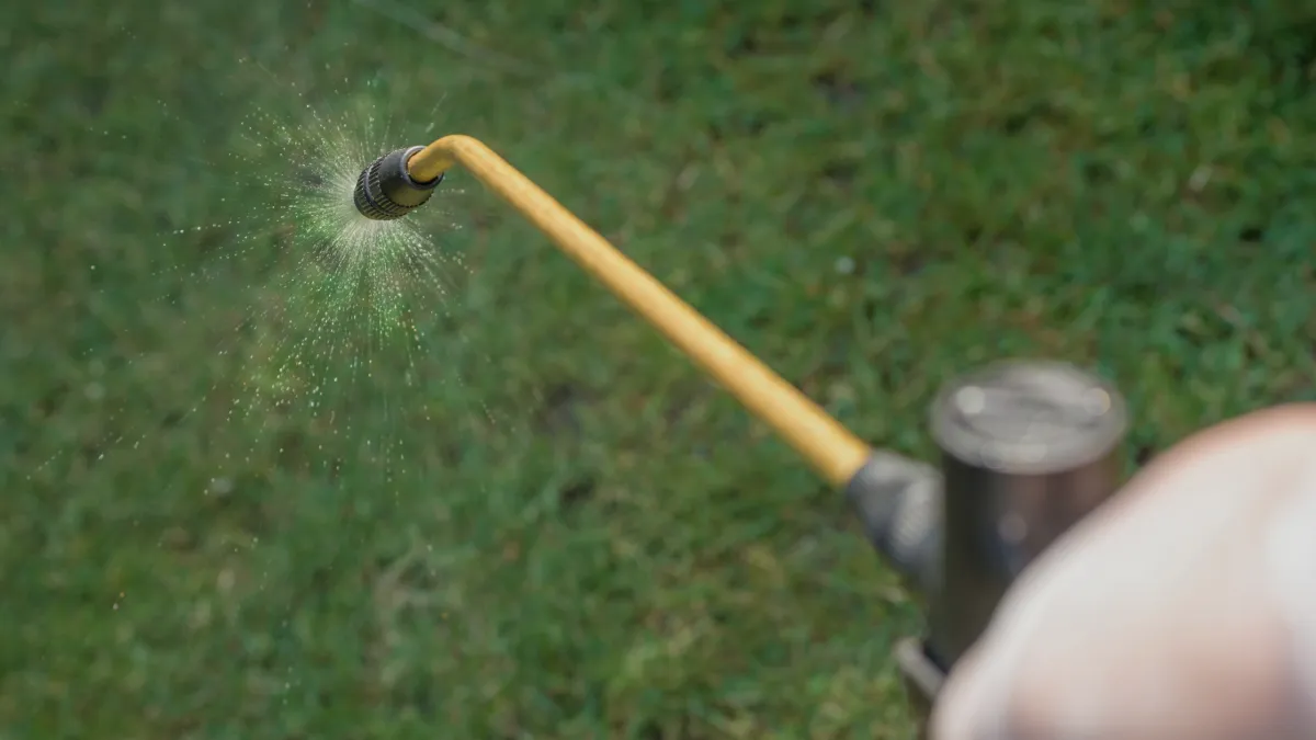 Pest Control in Lawns and Gardens: What to Watch for This Spring in Sydney