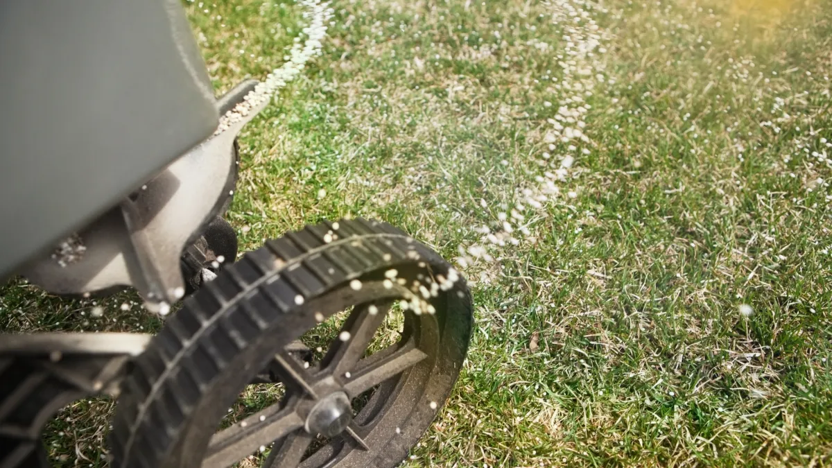 Fertilising Your Lawn This Spring: The Best Options for Sydney Gardens