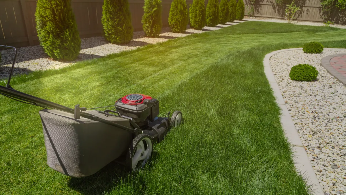 The Benefits of Professional Lawn Mowing Services During Sydney’s Growing Season