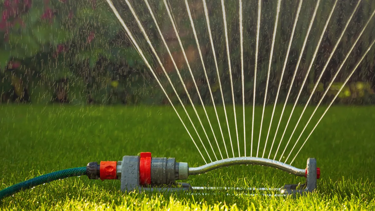 How to Keep Your Garden Green Without Overwatering: A Waterwise Gardening Guide for Sydney