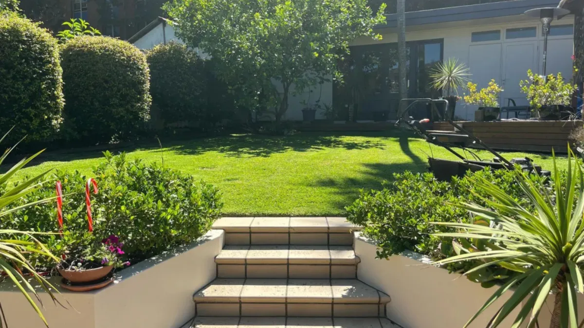 Hedge Shapes and Styles to Complement Your Home