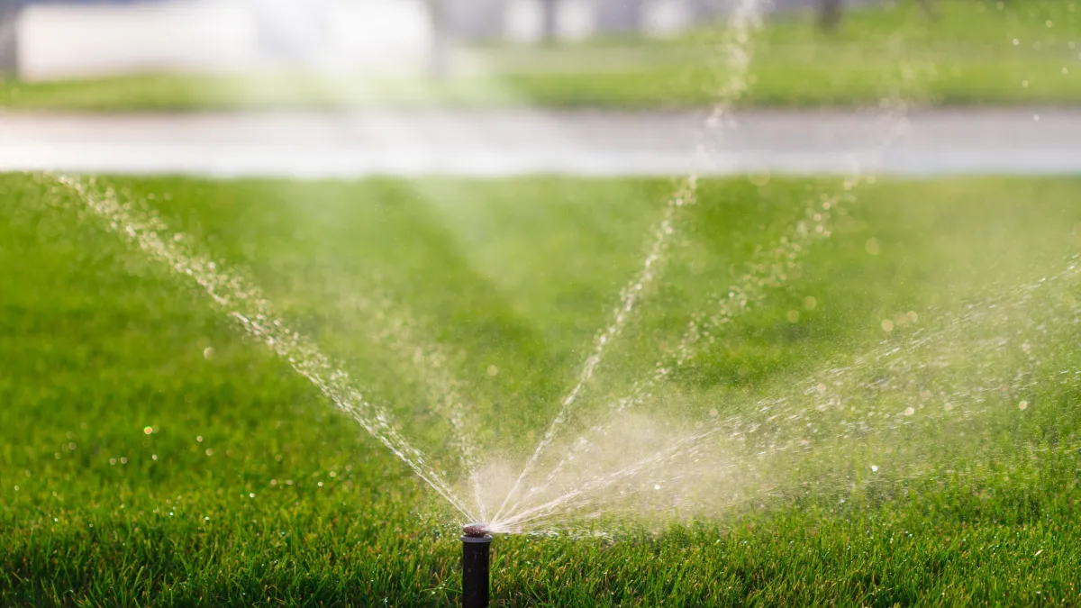 Best Times of Day to Water Your Lawn in Sydney’s Climate: A Complete Guide