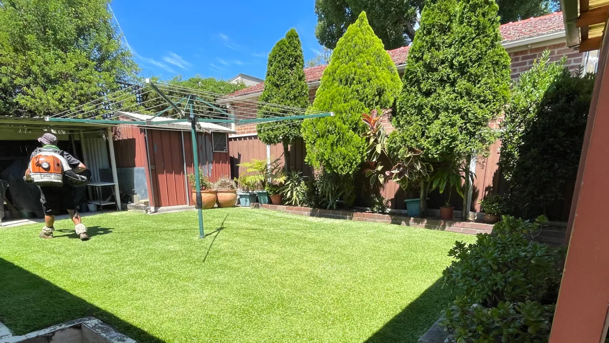 Why Inner West Sydney Homeowners Trust Bizzy Mowing for Lawn Mowing & Garden Services