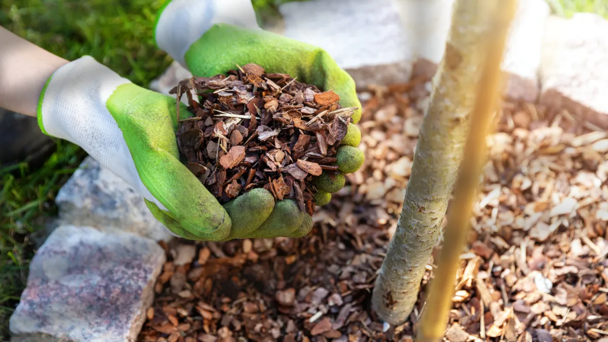 Spring Mulching Guide: Why Now Is the Best Time to Mulch Your Garden Beds