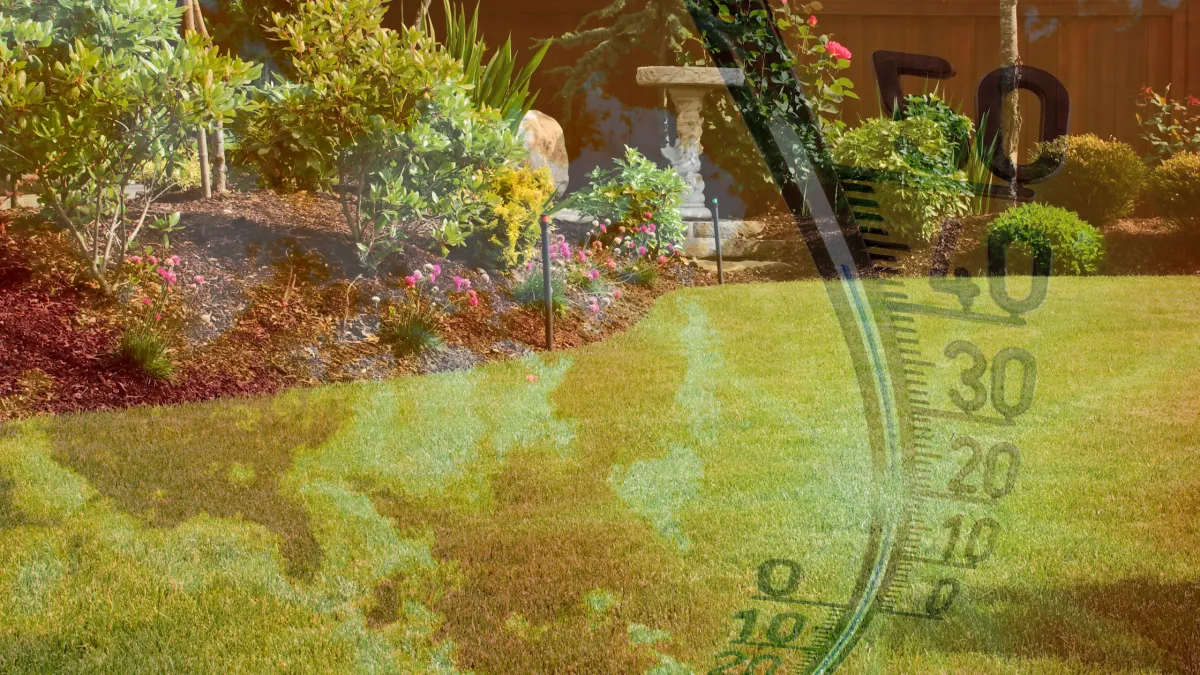 How to Adjust Your Lawn Care Routine for Hot Weather in Sydney