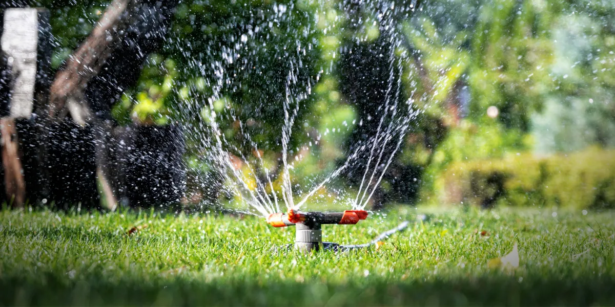 Pre-Summer Lawn Prep: How to Keep Your Inner West Lawn Lush Through the Heat