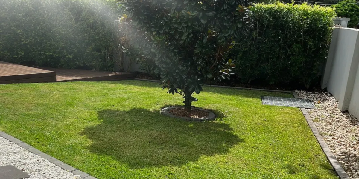 Why Inner West Sydney Homeowners Trust Bizzy Mowing for Lawn Mowing & Garden Services