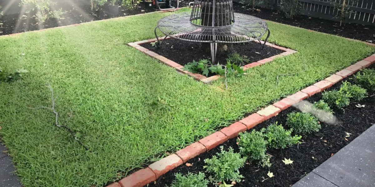 End of Spring Garden Checklist for Inner West Sydney Homes