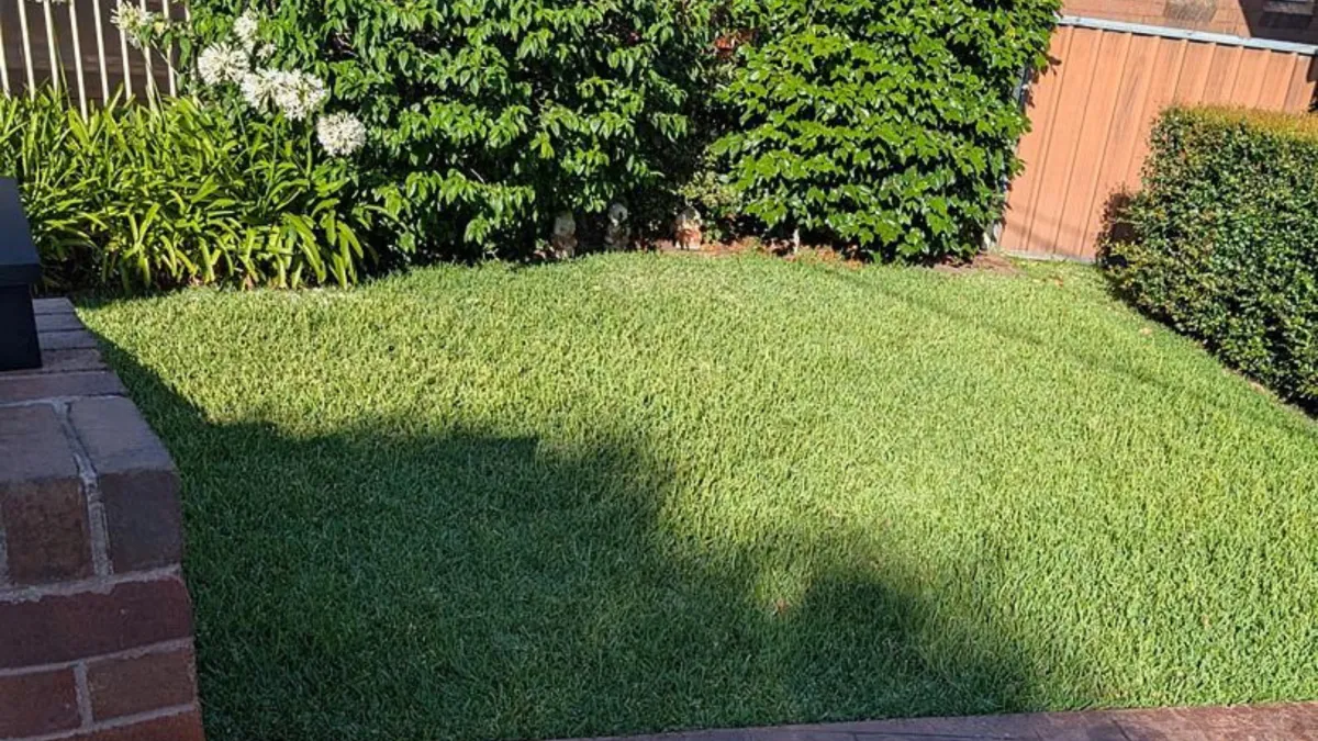 Why Summer Is the Worst Time for Neglected Lawns (And How the Right Products Can Save Yours)