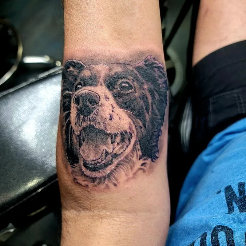 Pooch