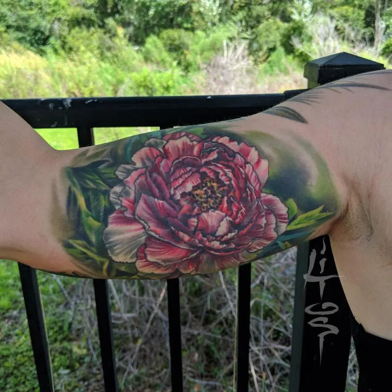Chrysanthemum